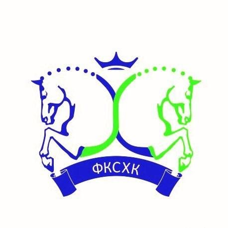 Логотип организации РОО "Федерация конного спорта Хабаровского края"